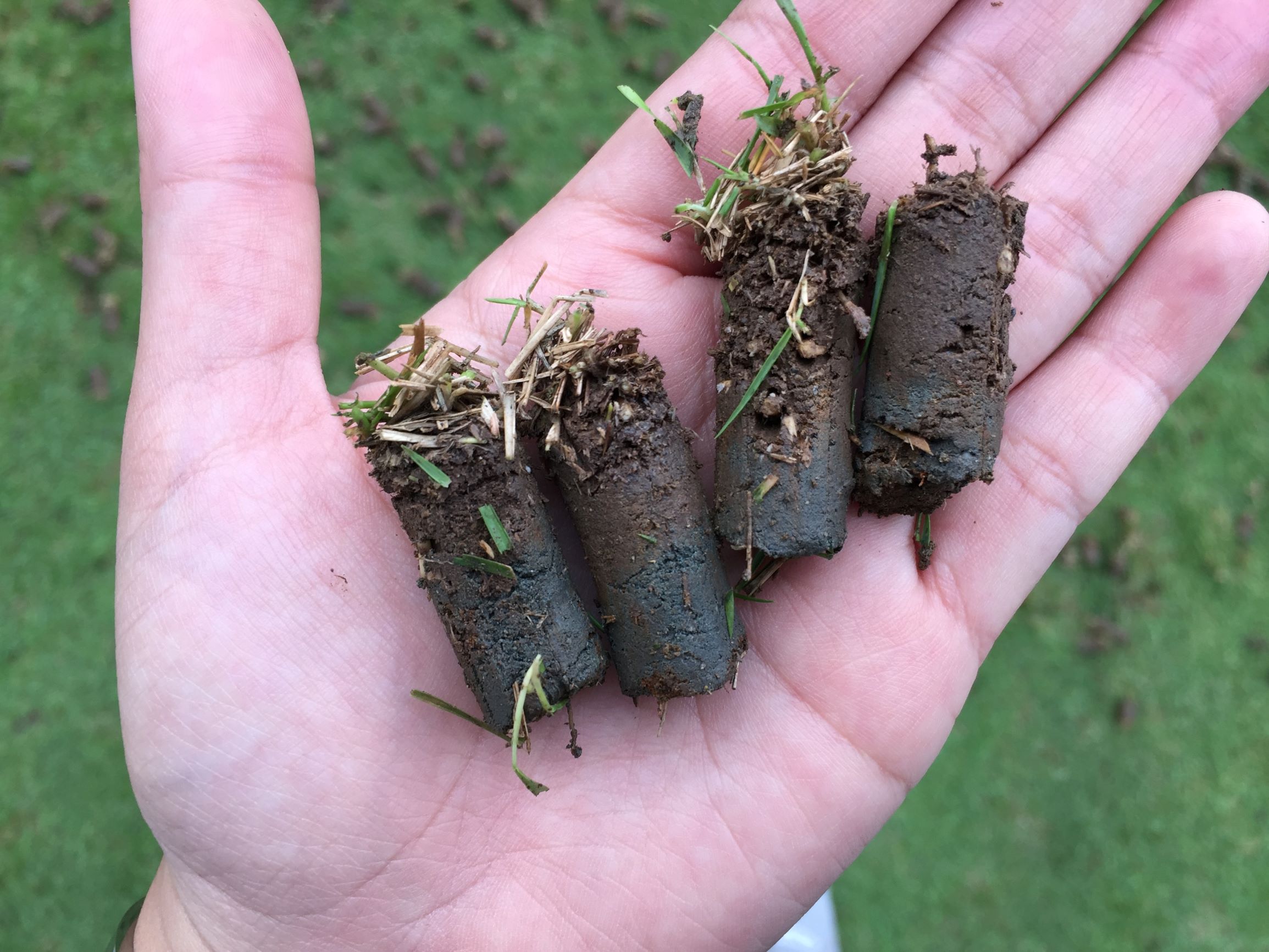 Sports Field Maintenance